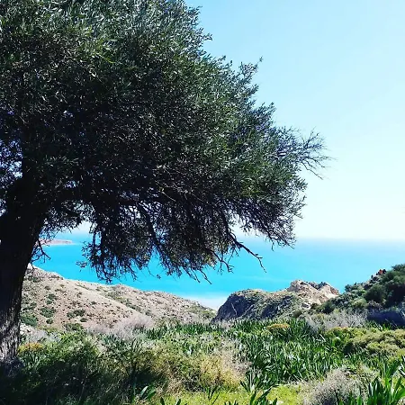 Paradise Pine Bay Daire Pissouri